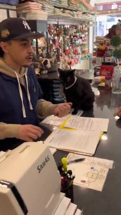 kItTy PhYsIcAlLy AnD vErBaLlY AtTaCkS rEtAiL wOrKeR