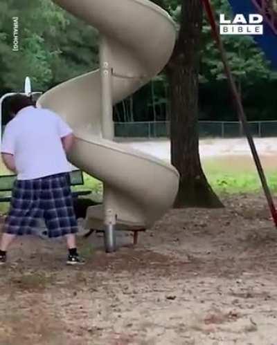 Lab having fun at the playground