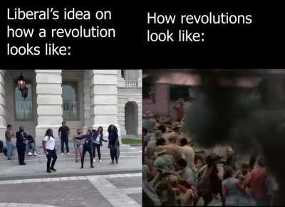 How liberals think revolutions look like VS how they look like