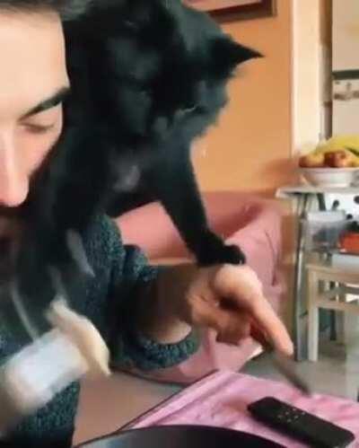 This cat can show you a magic trick