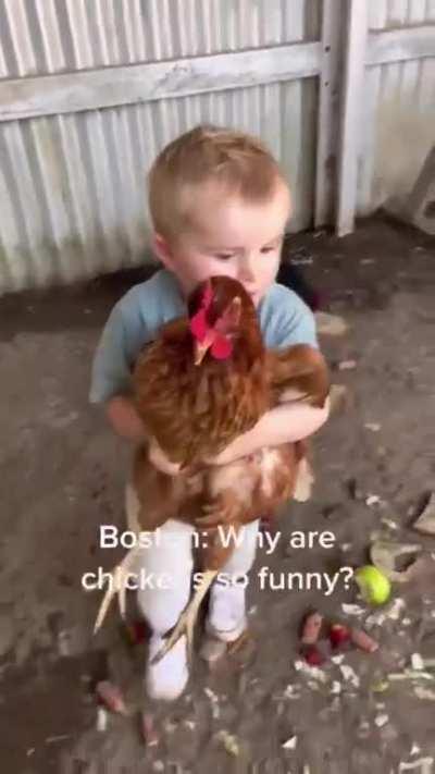 chicken