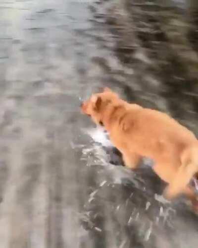 Walking on water