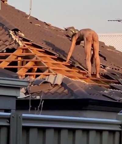 Native Australian rooftop creature caught on tape.