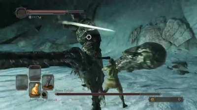 Ds2 Hitbox Moment