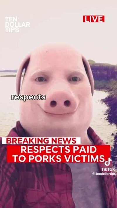 John Pork  NewsBreak