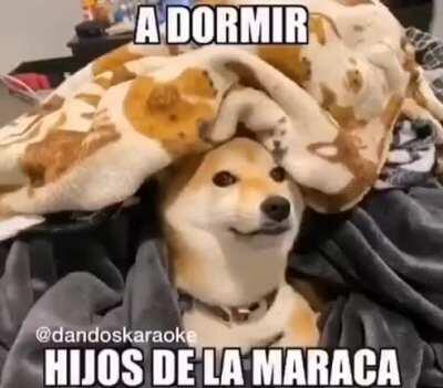 A mimir