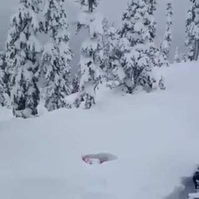 Jumping into the snow