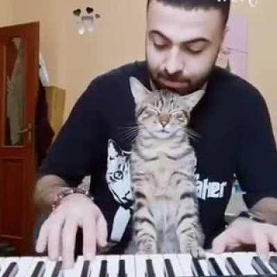 This cat enjoys music