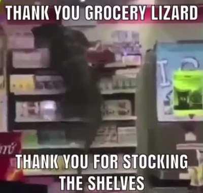 Helpful lizard