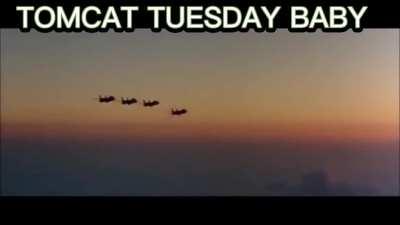 Tomcat Tuesday baby! [video]