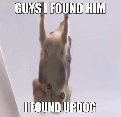 I can’t see Updog’s PP :(