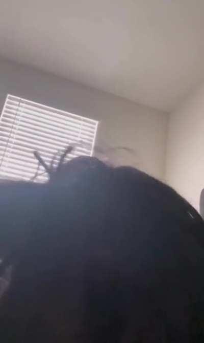 Ebony sucking dick on her side 🙂