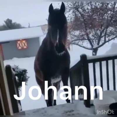 johann 😳