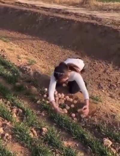 A woman gets it rough after trying to steal peacock eggs