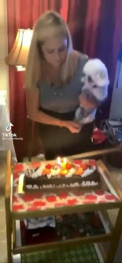 Just trying to blow the candles out