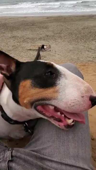 The beach is his happy place