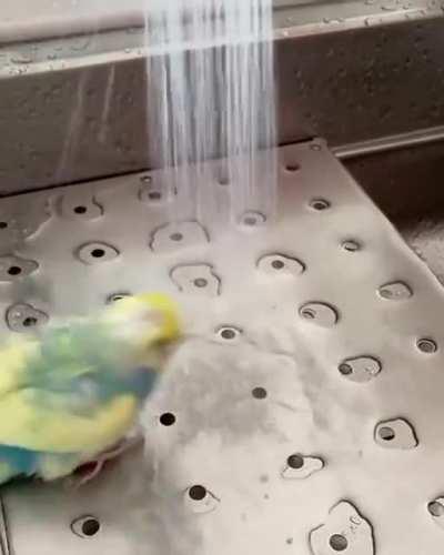 Remember to shower!