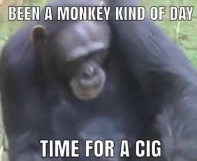 MONKEY NO! YOUR LUNGS!!!