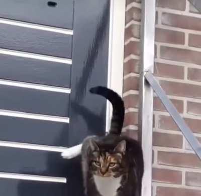 &quot;I'm ready to come in now!! Hello?&quot;