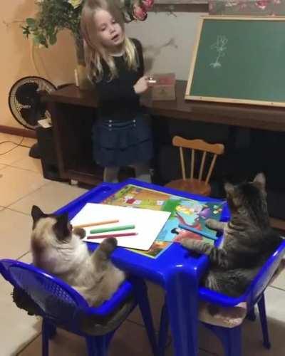 Little girl teaching her cats how to draw a flower