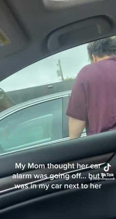 Car horn prank on mom