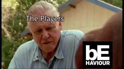 BHVR every patch