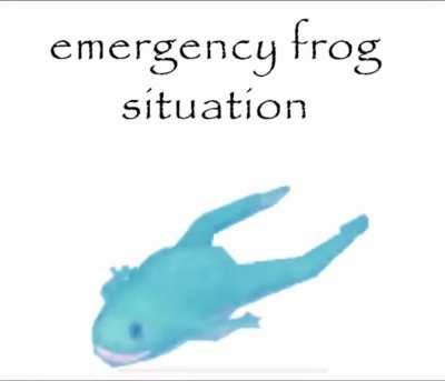 EVERYONE, wake up! It’s a code 34! (Code 34 is an emergency frog situation)