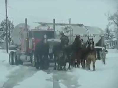 These horses helping pull a freaking milk tanker.