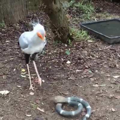 O cara já chega com dois pés no peito