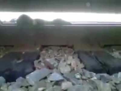 Guy stuck under moving train escapes between its rails