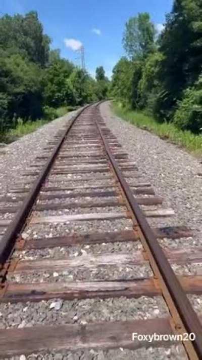 Sucking Dick on the train tracks