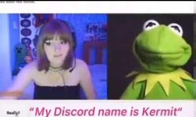 Kermit my favourite