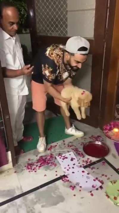 Indian family welcome new family member into their home with a traditional welcome.