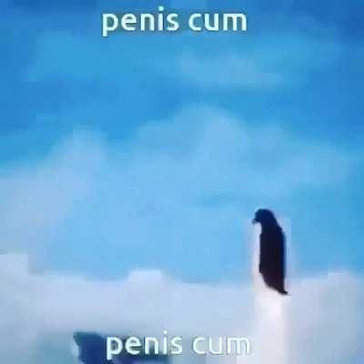 PENIS?????