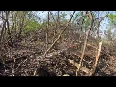 Ukrainian forces taking Russian positions near Bakhmut after liberating 1.5km of land on the flanks yesterday.