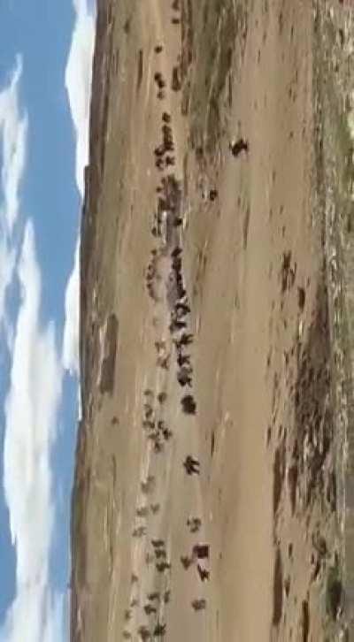 these images are from Wan. A company called DİMER wants to open a marble quarry in the lands of Kurdish villagers. Villagers want to prevent them with their own means: consequence military intervention, injured and detainees