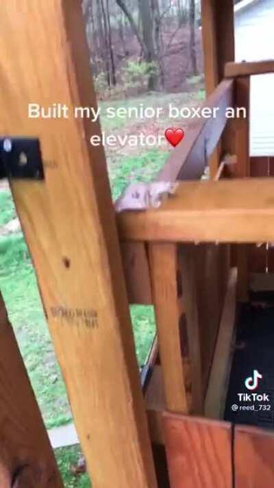 Building an elevator for your older dog