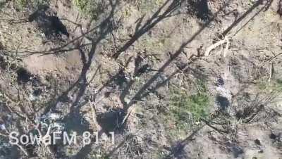 (UA) Drone Team &quot;SowaFm&quot; of the 81st Brigade Wounded a Pair of Russians with Drone Dropped Grenades. (24 April, 2024)