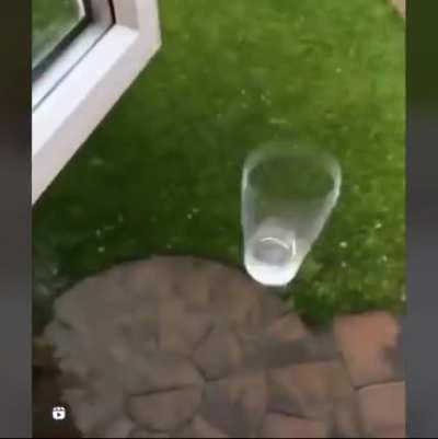 WCGW flipping a glass on to a table.