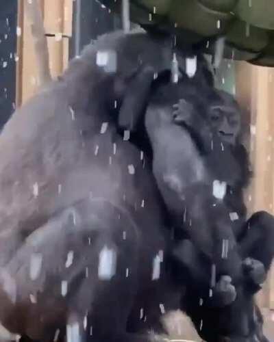 Protecting baby from a snow fall