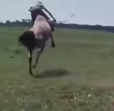 Never tell me the odds of getting slung a full 360 degrees around a horse