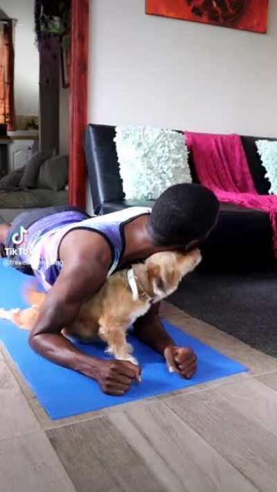 Trying to plank with a dog.