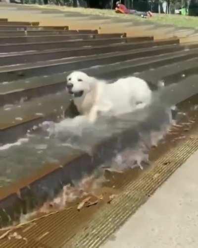 Cooling off at the park