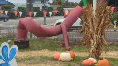 It's hard out there for a pumpkin patch...