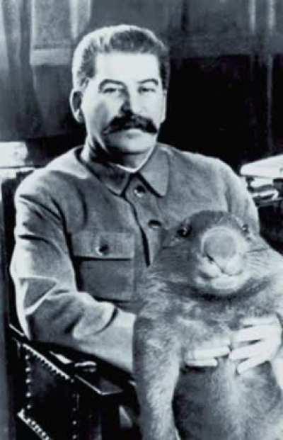 Joesph Stalin offers you a large beaver