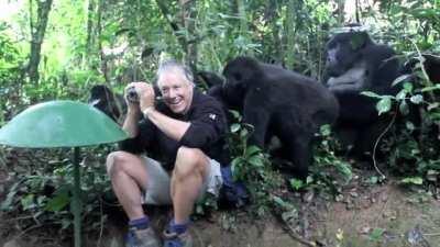 Gorilla family checks out a wildlife photographer