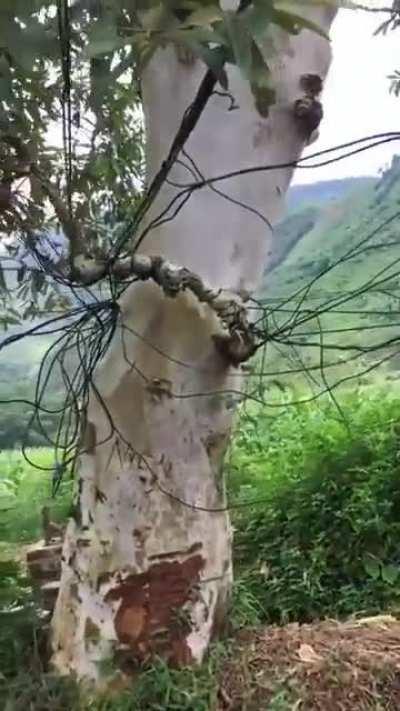 Mini Hydro Electric setup for a Vietnamese village