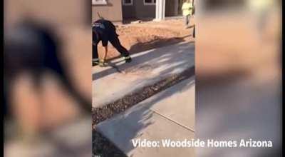 Watch Firefighters Rescue Ducklings as the Mama Duck Watches