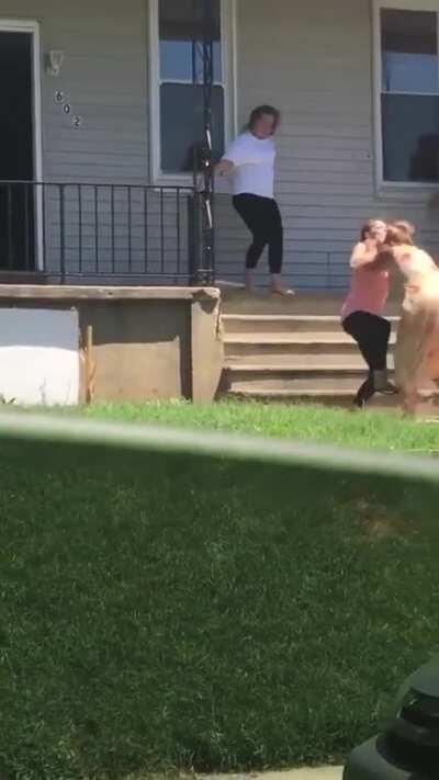 Neighbors Exchange blows, dogs join the fight and all hell breaks loose