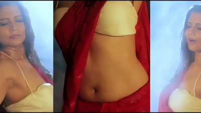 Beautiful saree navel